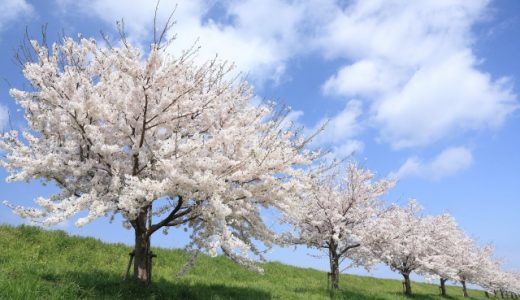 寒暖差が大きい春のヒートショックに要注意！